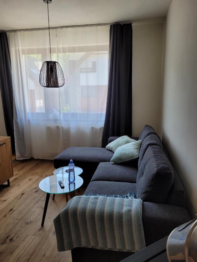 Artur Apartment Myto Mýto pod Ďumbierom Εξωτερικό φωτογραφία